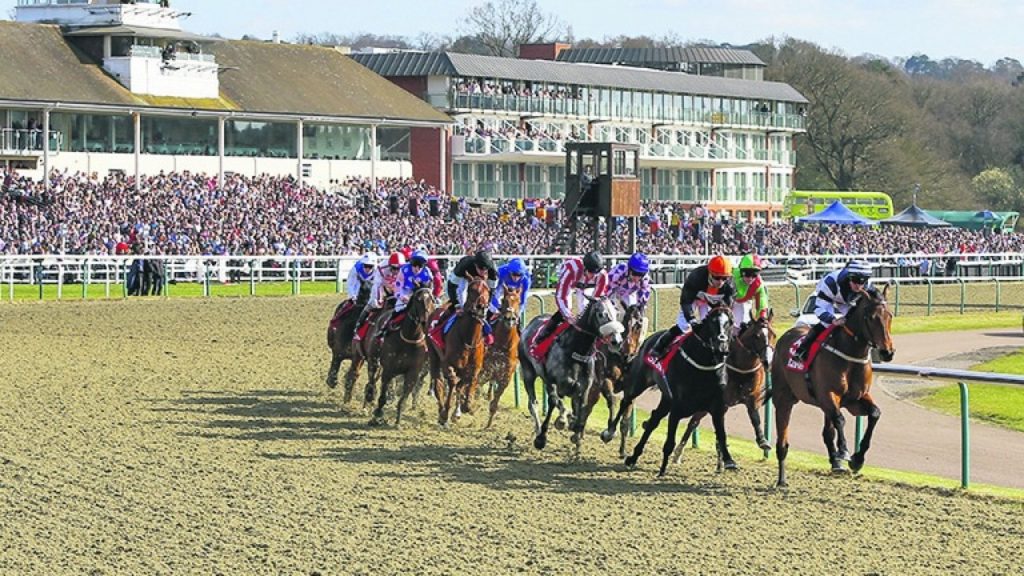 arc-slashes-horse-racing-prize-money-in-2019-horsebetting